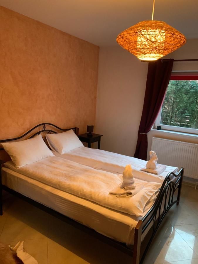 Dorf Haus Valiug Hotell Exteriör bild